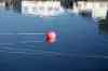 201006070831m.jpg - 2010:06:07 21:01:45