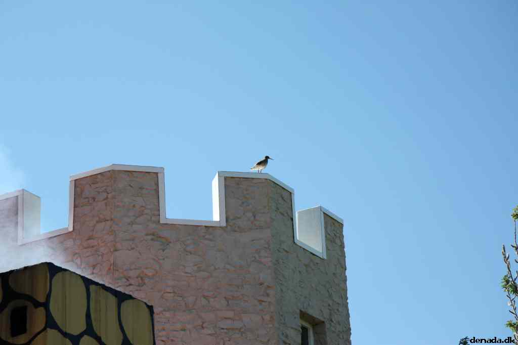 * Image 43