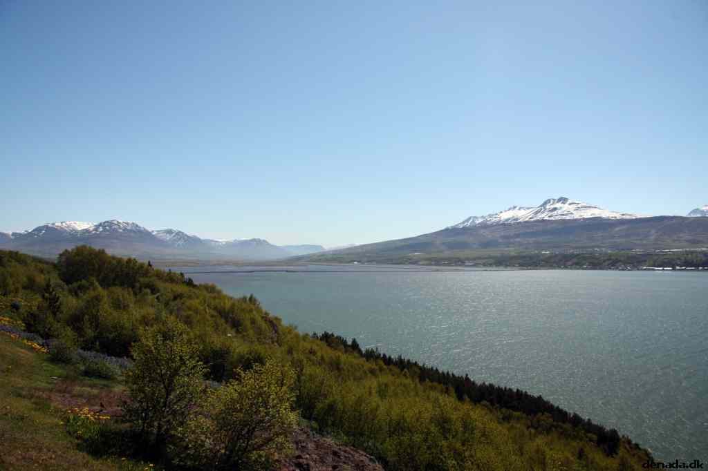 * Image 65