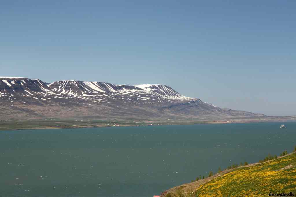 * Image 72
