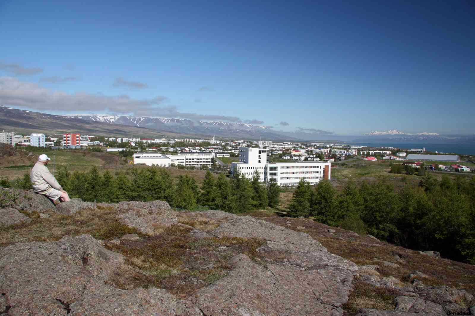 * Image 3