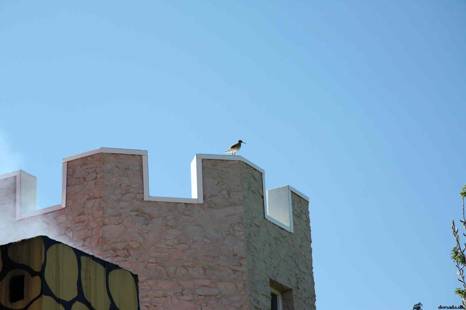 * Image 43