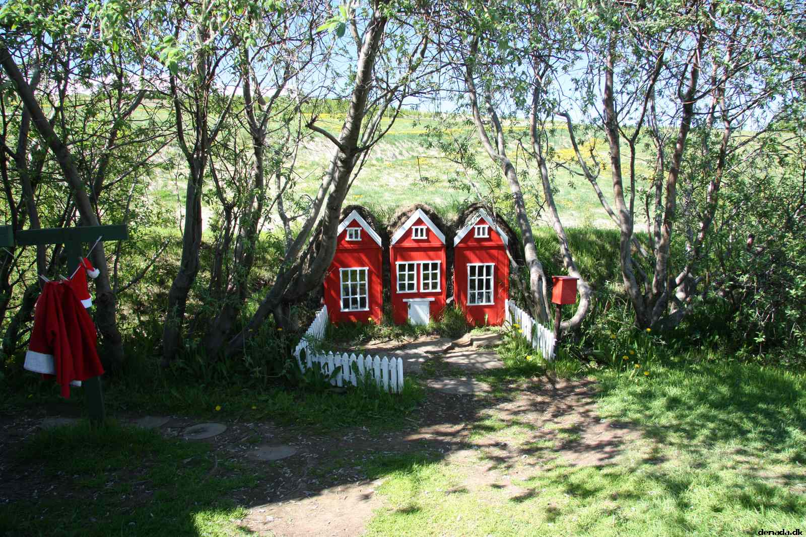 * Image 46