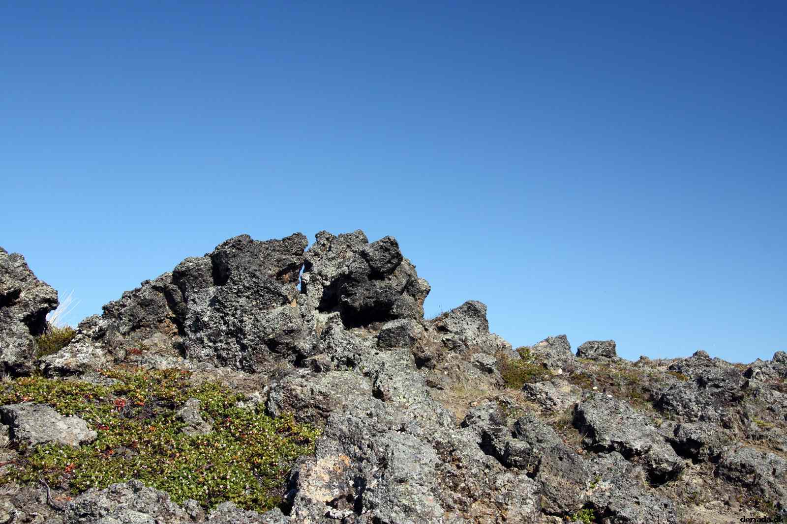 * Image 110