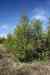 201006070670m.jpg - 2010:06:07 10:09:14