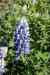 201006070673m.jpg - 2010:06:07 10:23:35