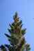 201006070708m.jpg - 2010:06:07 12:42:46