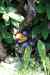 201006070740m.jpg - 2010:06:07 14:24:21