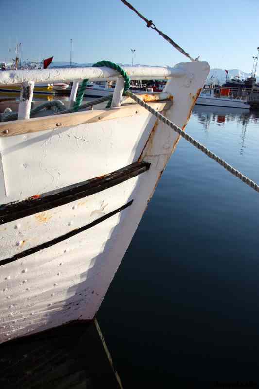 * Image 124