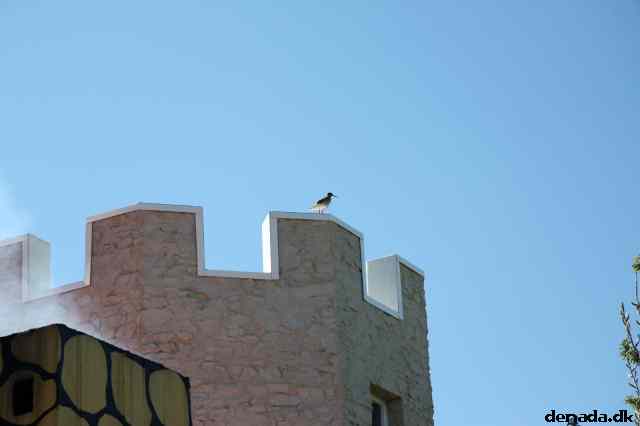 * Image 43