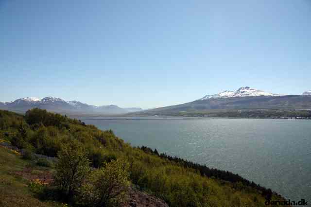* Image 65