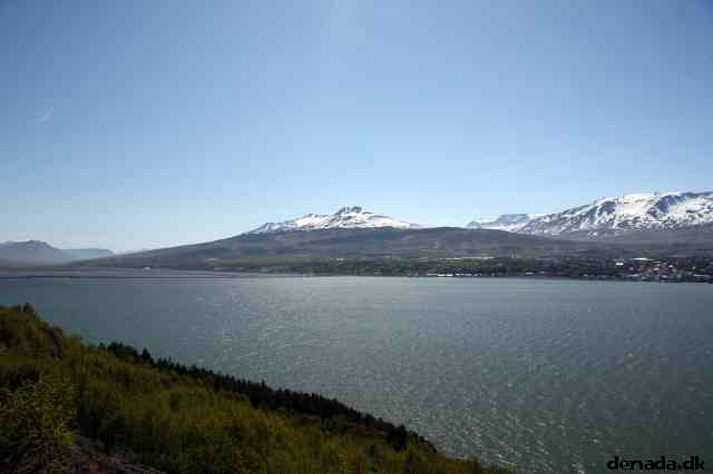 * Image 66