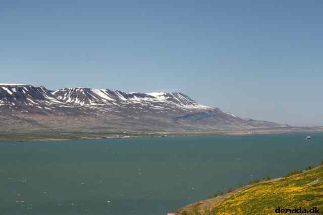 * Image 72