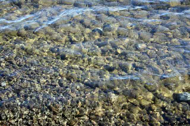* Image 76