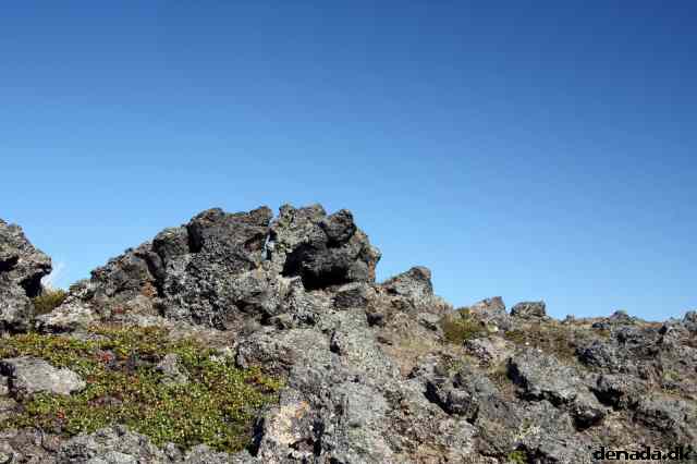 * Image 110