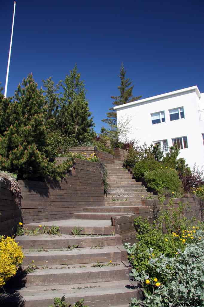 * Image 24