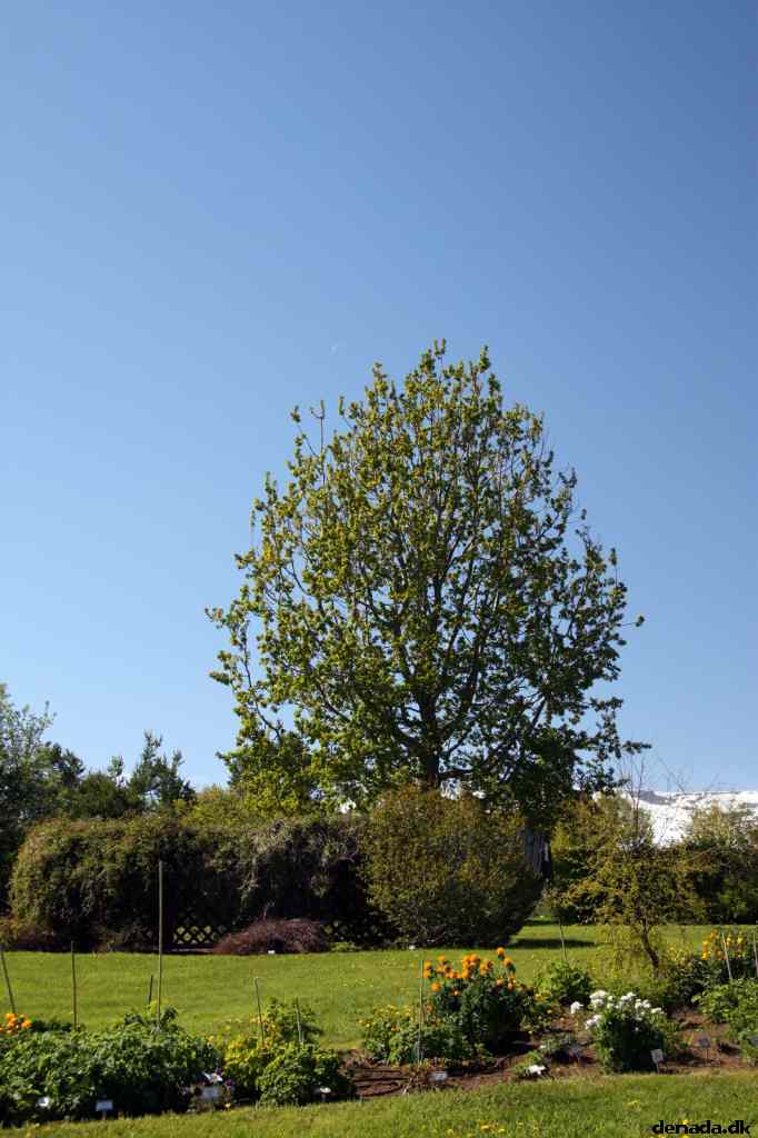 * Image 34