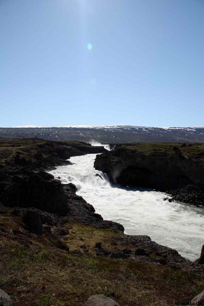 * Image 80