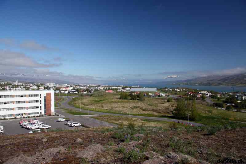 * Image 1