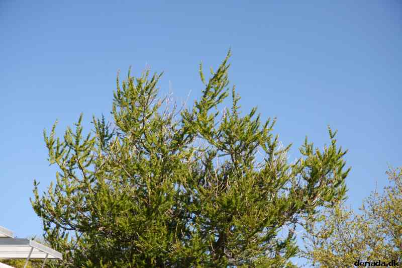 * Image 38