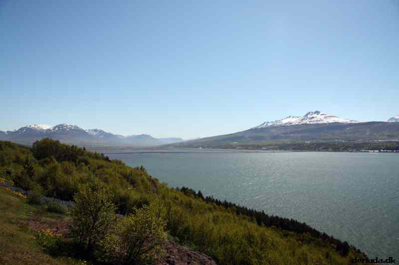 * Image 65