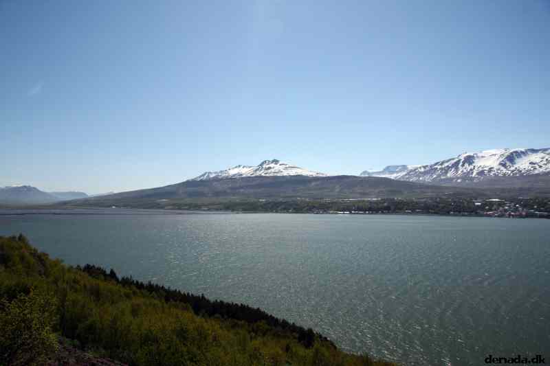* Image 66
