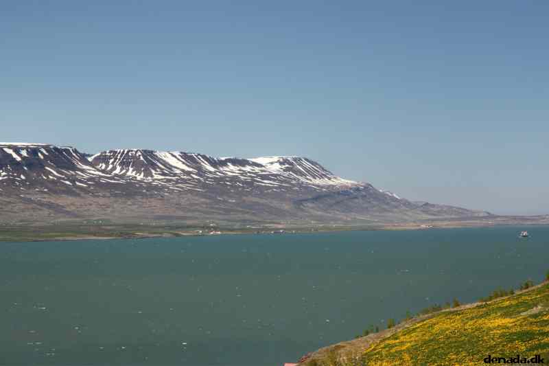 * Image 72