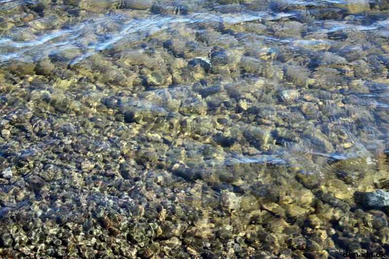 * Image 76
