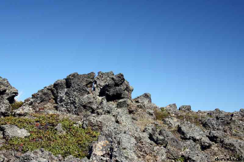 * Image 110