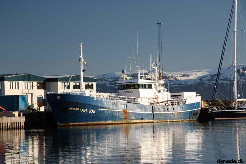 * Image 117