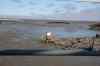 201006080918m.jpg - 2010:06:08 10:13:40