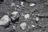 201006081045m.jpg - 2010:06:08 16:42:17