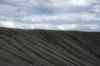201006081060m.jpg - 2010:06:08 16:54:53