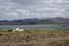 201006081082m.jpg - 2010:06:08 17:37:34