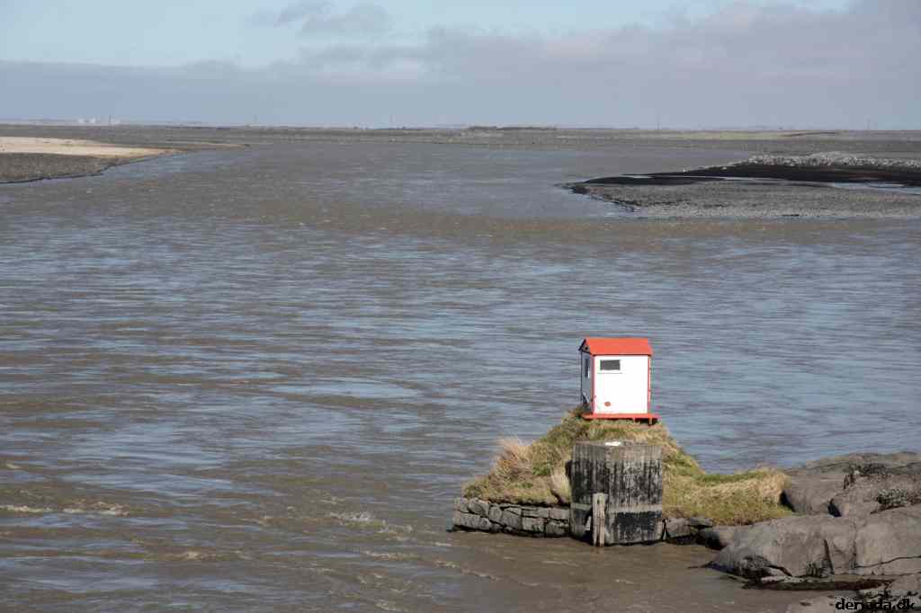 * Image 11