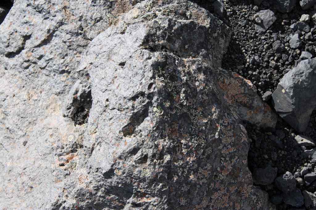 * Image 154