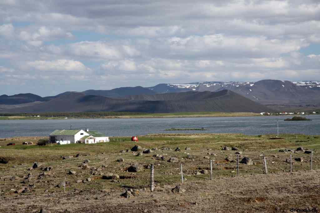 * Image 169