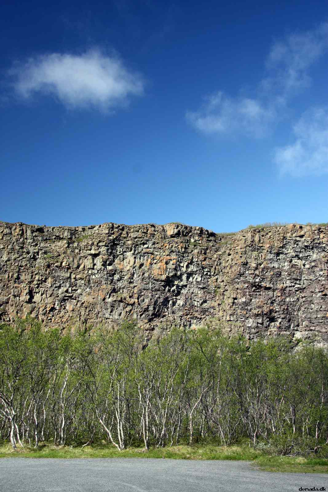 * Image 7