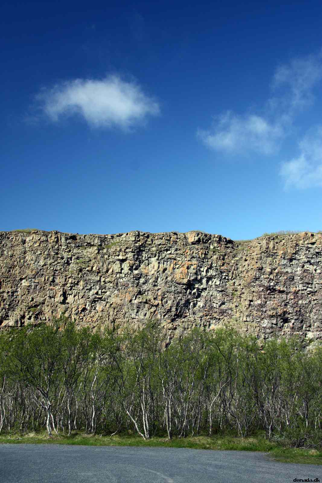 * Image 8