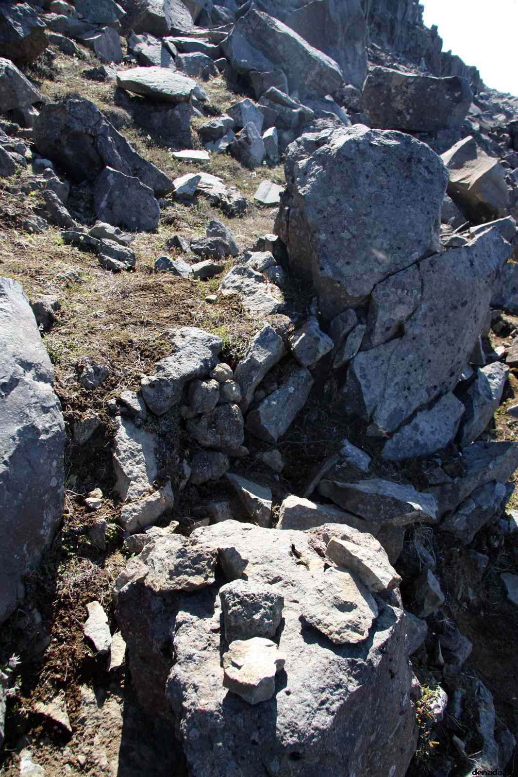 * Image 46