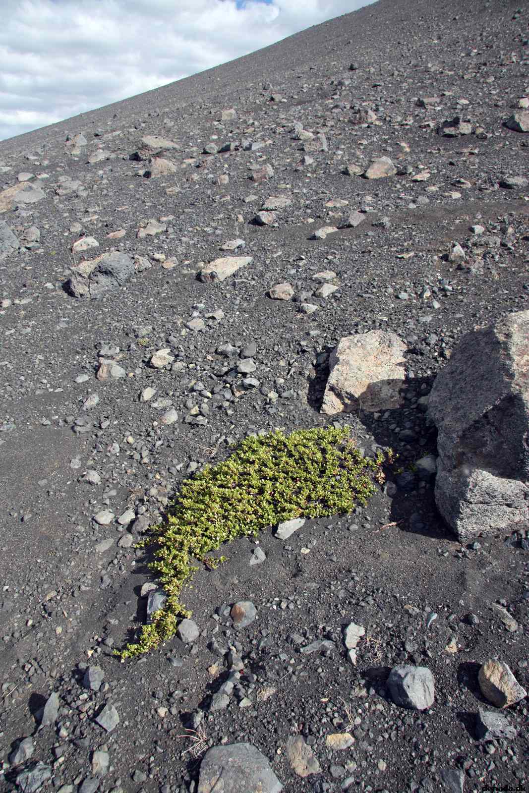 * Image 137