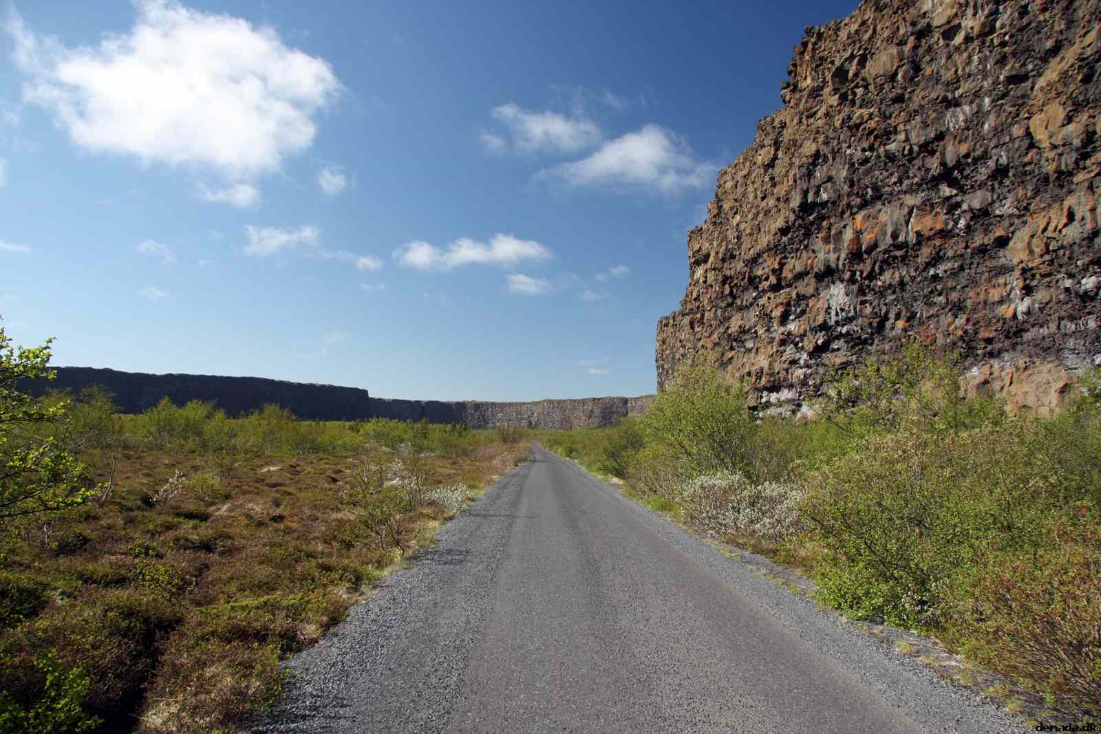 * Image 3