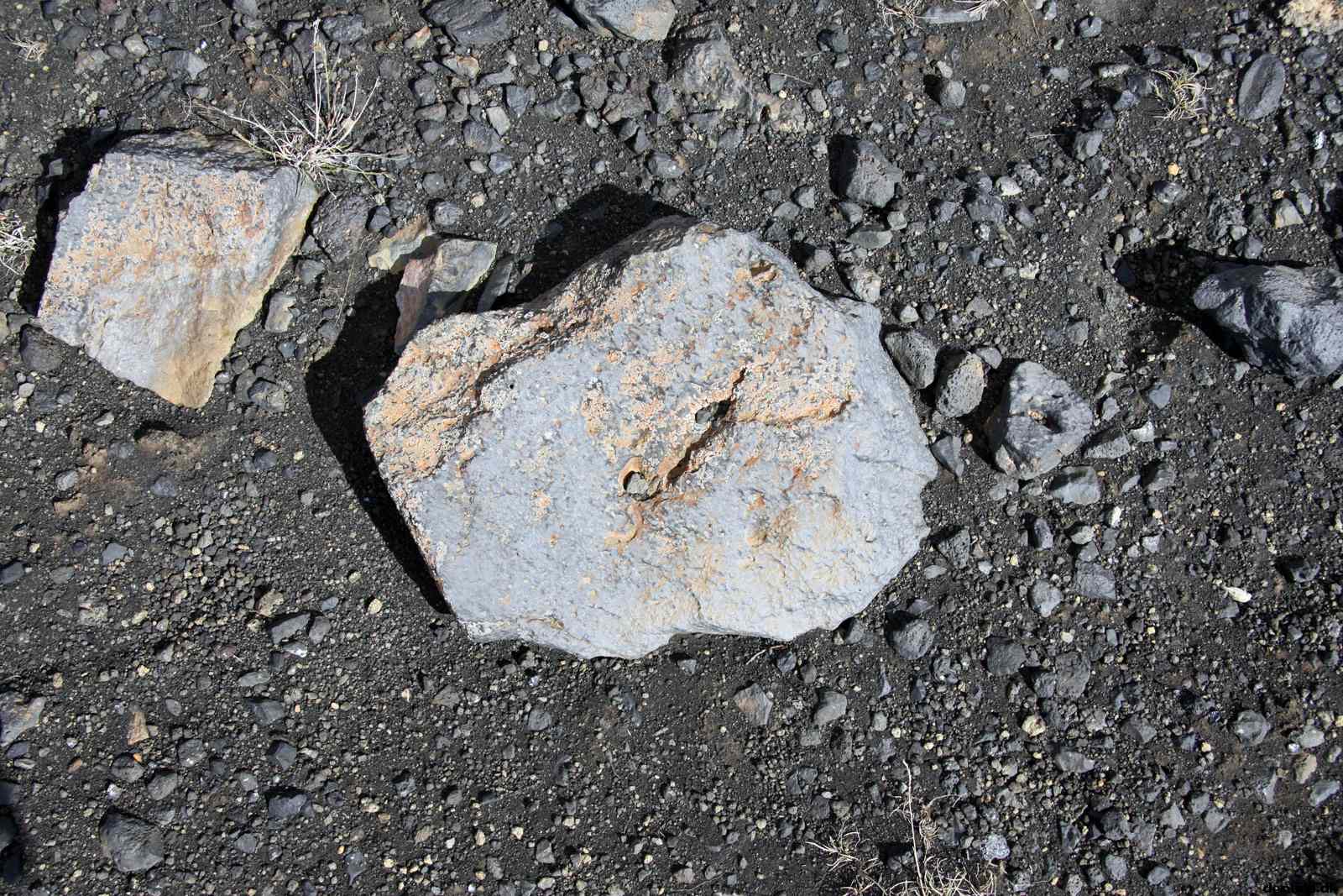 * Image 128