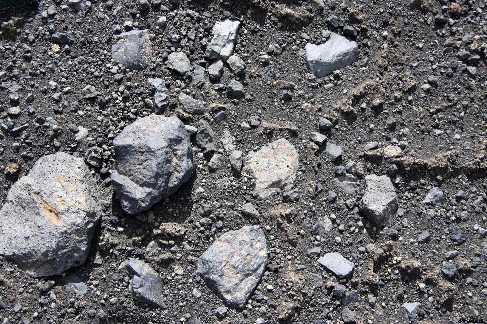 * Image 132