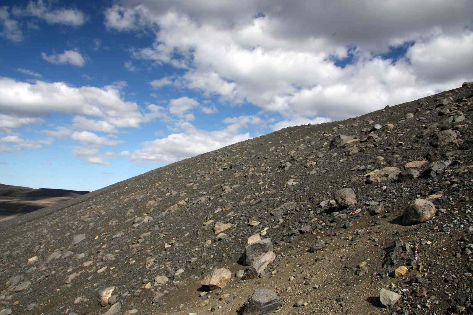 * Image 141