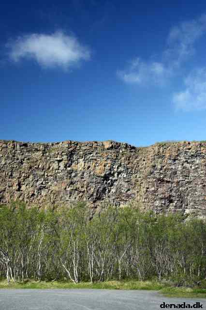 * Image 7