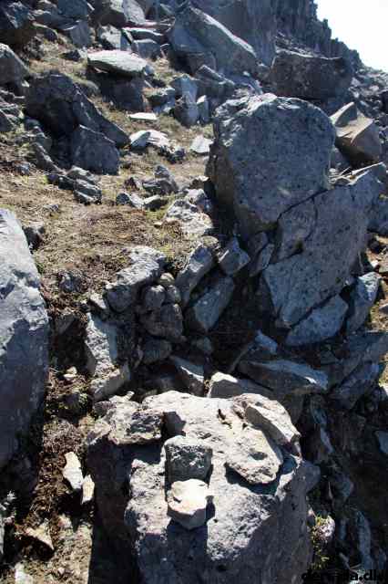 * Image 46