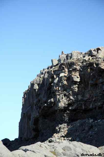 * Image 54