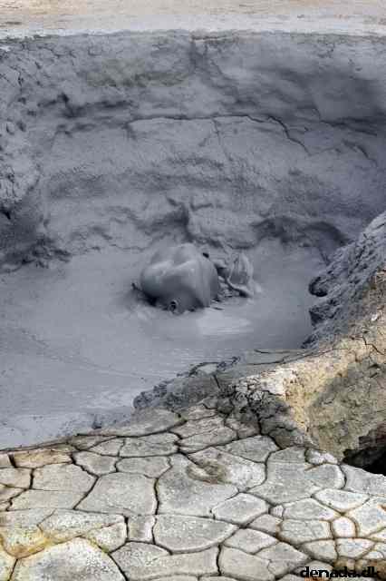 * Image 125