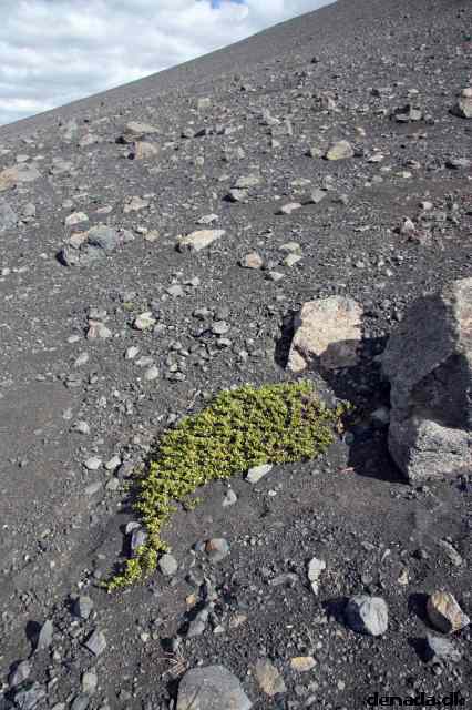 * Image 137
